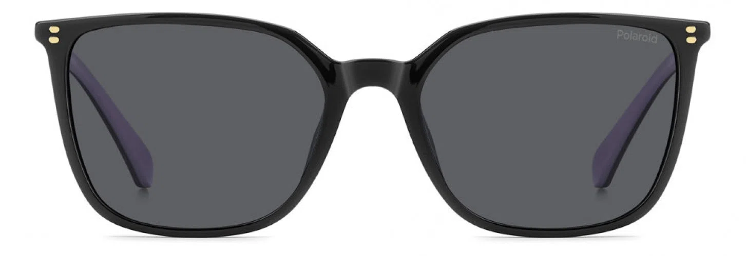 Polaroid Core PLD4209 Sunglasses - view 6